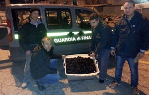 I ricci sequestrati dalla guardia di finanza