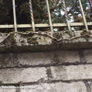 Viterbo - Invasione di rughe nel terreno vicino a un condominio di via Maresotti 