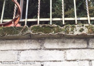 Viterbo - Invasione di rughe nel terreno vicino a un condominio di via Maresotti 