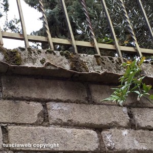 Viterbo - Invasione di rughe nel terreno vicino a un condominio di via Maresotti 