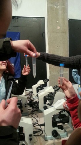 Un momento di Viterbo scienza