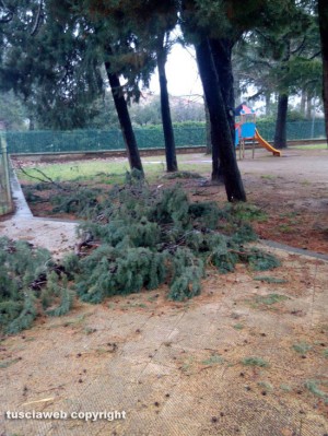 I rami rotti nel giardino della scuola di Bagnaia