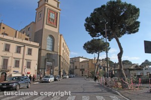 Viterbo - I pini mediterranei tagliati a via Ascenzi