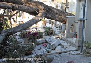 Maltempo - Viterbo - Cimitero di San Lazzaro - Un cipresso crollato su una tomba