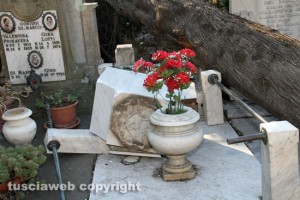 Maltempo - Viterbo - Cimitero di San Lazzaro - Una tomba lesionata da un albero caduto