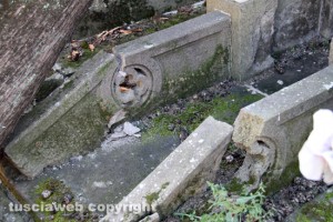 Maltempo - Viterbo - Cimitero di San Lazzaro - Una tomba lesionata da un albero caduto