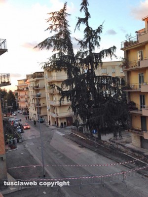 Viterbo - Via Monte Sacro chiusa per rischio crollo di due piante - Foto Giuseppe Vitali