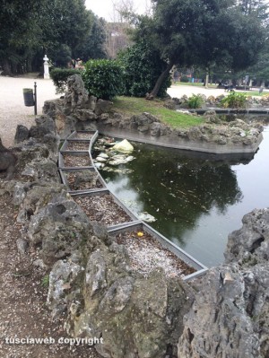 Viterbo - I rifiuti nel laghetto di Prato Giardino