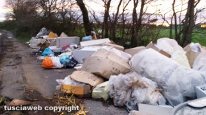 Viterbo - Rifiuti su strada Teverina