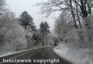 Maltempo - Neve