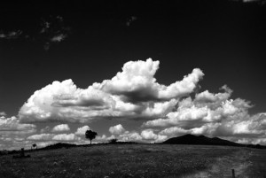 Maremma di Marco Branchi