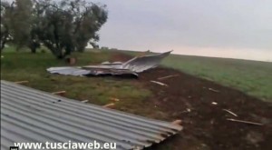 Maltempo - Montalto -Capannone distrutto