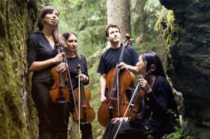 Il Quartetto Lyskamm