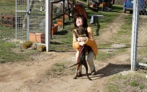 Castel Sant'Elia - I cani dell'associazione Argilla e Incrociamolezampe in giro per una passeggiata