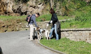 Castel Sant'Elia - I cani dell'associazione Argilla e Incrociamolezampe in giro per una passeggiata