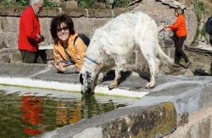 Castel Sant'Elia - I cani dell'associazione Argilla e Incrociamolezampe in giro per una passeggiata