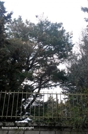 Viterbo - Invasione di rughe nel terreno vicino a un condominio di via Maresotti 