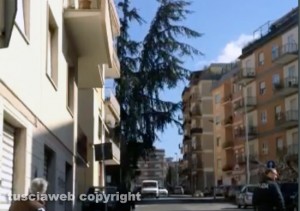 Viterbo - Un albero che sta per crollare in via Monte Sacro - La strada è stata bloccata dalla polizia.