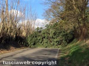 Malltempo - Viterbo - Strada tra Gallese e Centignano