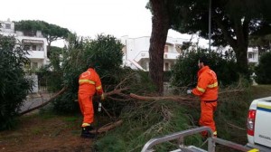 Una squadra del gruppo comunale di protezione civile di Montalto di Castro