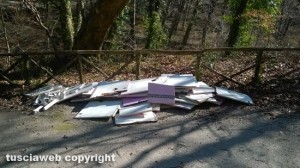 Rifiuti nel bosco di Vetralla
