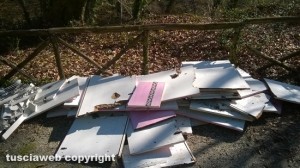 Rifiuti nel bosco di Vetralla