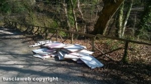 Rifiuti nel bosco di Vetralla