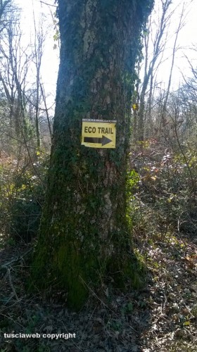 Rifiuti nel bosco di Vetralla