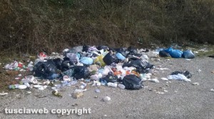 Immondizia a Fiescole