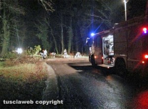 L'albero segato dai vigili del fuoco