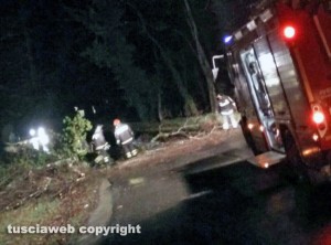 L'albero segato dai vigili del fuoco