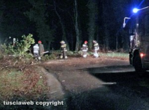 L'albero segato dai vigili del fuoco 