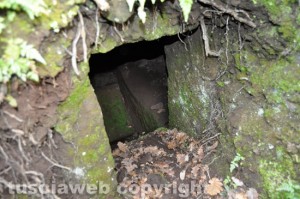 Tuscania - Resti umani in una tomba etrusca - L'ingresso