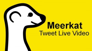 Meerkat, l'app di live streaming