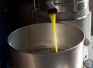 La lavorazione dell'olio