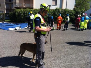 Canino - L'esercitazione di protezione civile Caninivs 5.6