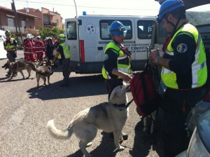 Canino - L'esercitazione di protezione civile Caninivs 5.6