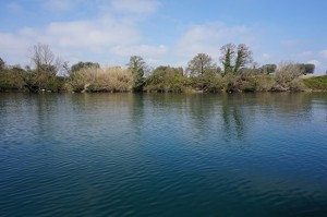 Progetto Dante, il sopralluogo al lago di Bolsena per il rilascio delle anguille