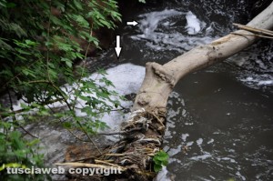 Viterbo - Castel D'Asso - La schiuma nel fiume Urcionio