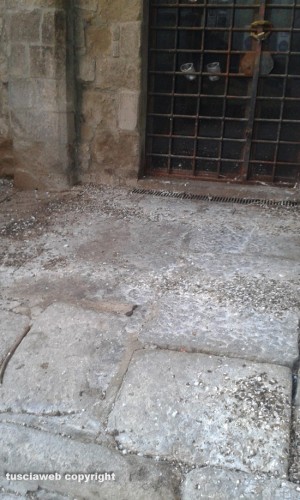 Viterbo - Feci di piccione a piazza san Pellegrino
