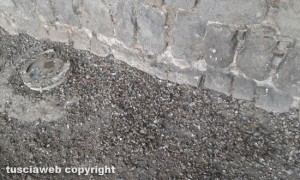 Viterbo - Feci di piccione sotto al Palazzo dei papi