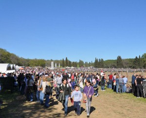 Festa della Merca