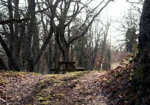 Walk in Tuscia 2015 - Grotte Santo Stefano, San Salvatore