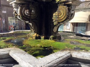 Fontana piazza delle Erbe nella melma