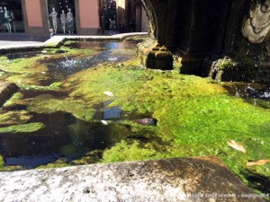 Fontana piazza delle Erbe - La scarpa fra la melma