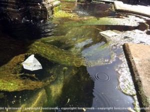Fontana piazza delle Erbe nella melma
