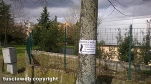 Viterbo - Il singolare cartello che incoraggia a pulire i bisogni dei cani