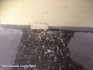 Viterbo - Il pozzetto che perde all'interno dell'ufficio tributi del comune