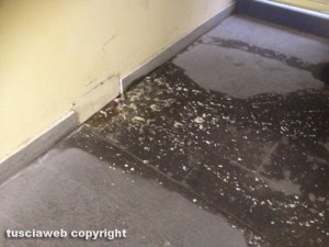 Viterbo - Il pozzetto che perde all'interno dell'ufficio tributi del comune