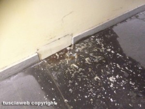 Viterbo - Il pozzetto che perde all'interno dell'ufficio tributi del comune